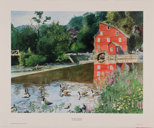 The Mill in Summer