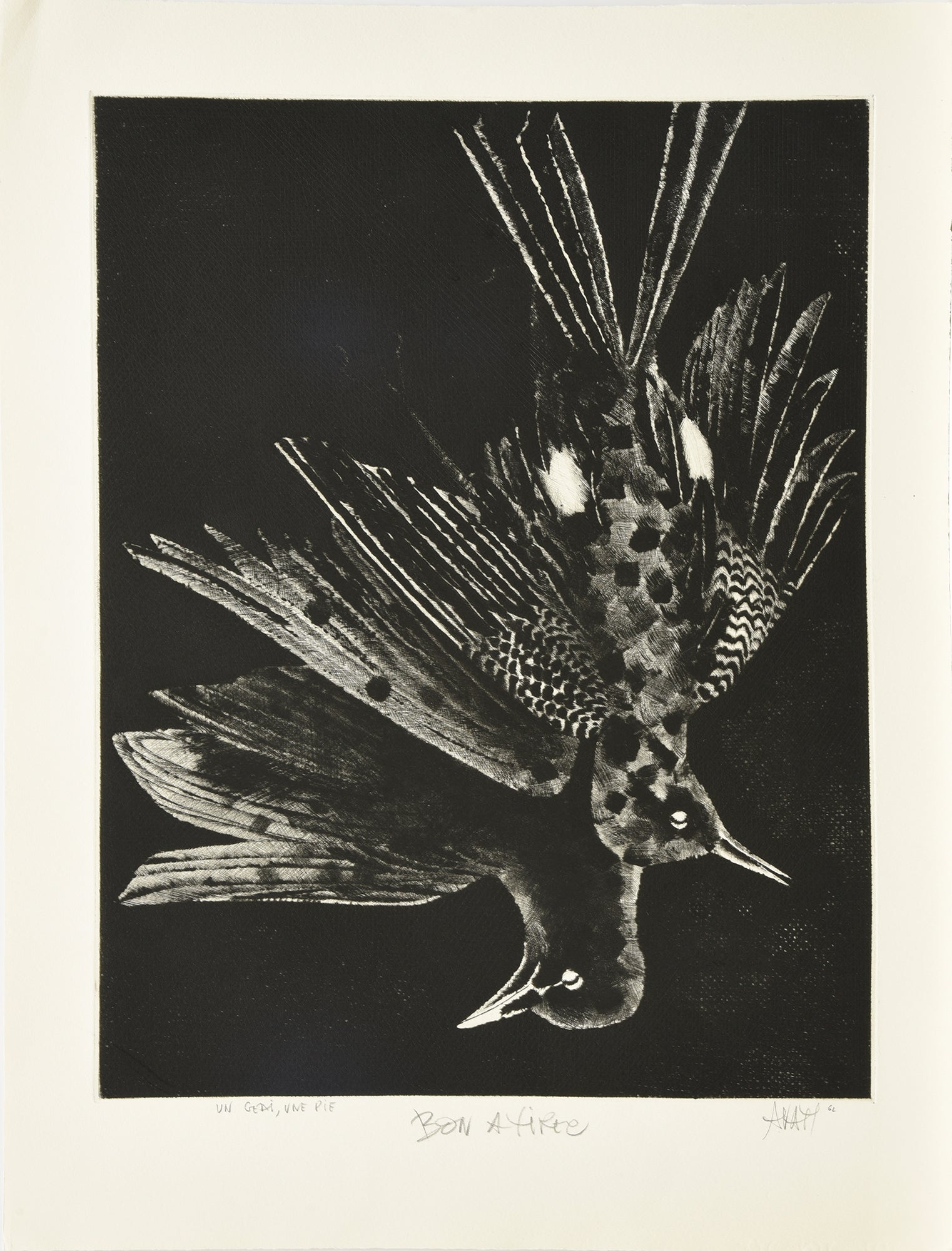 UNGEDI, UNE PIE, 1962