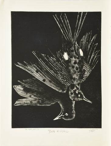 UNGEDI, UNE PIE, 1962
