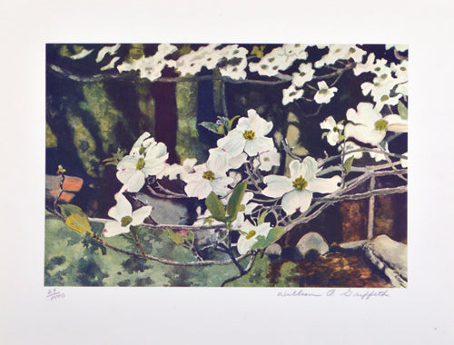 Untitled (Dogwood Branch)