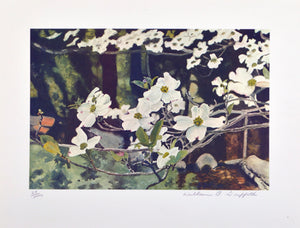 Untitled (Dogwood Branch)