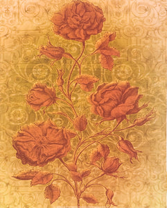 Amalia Roses