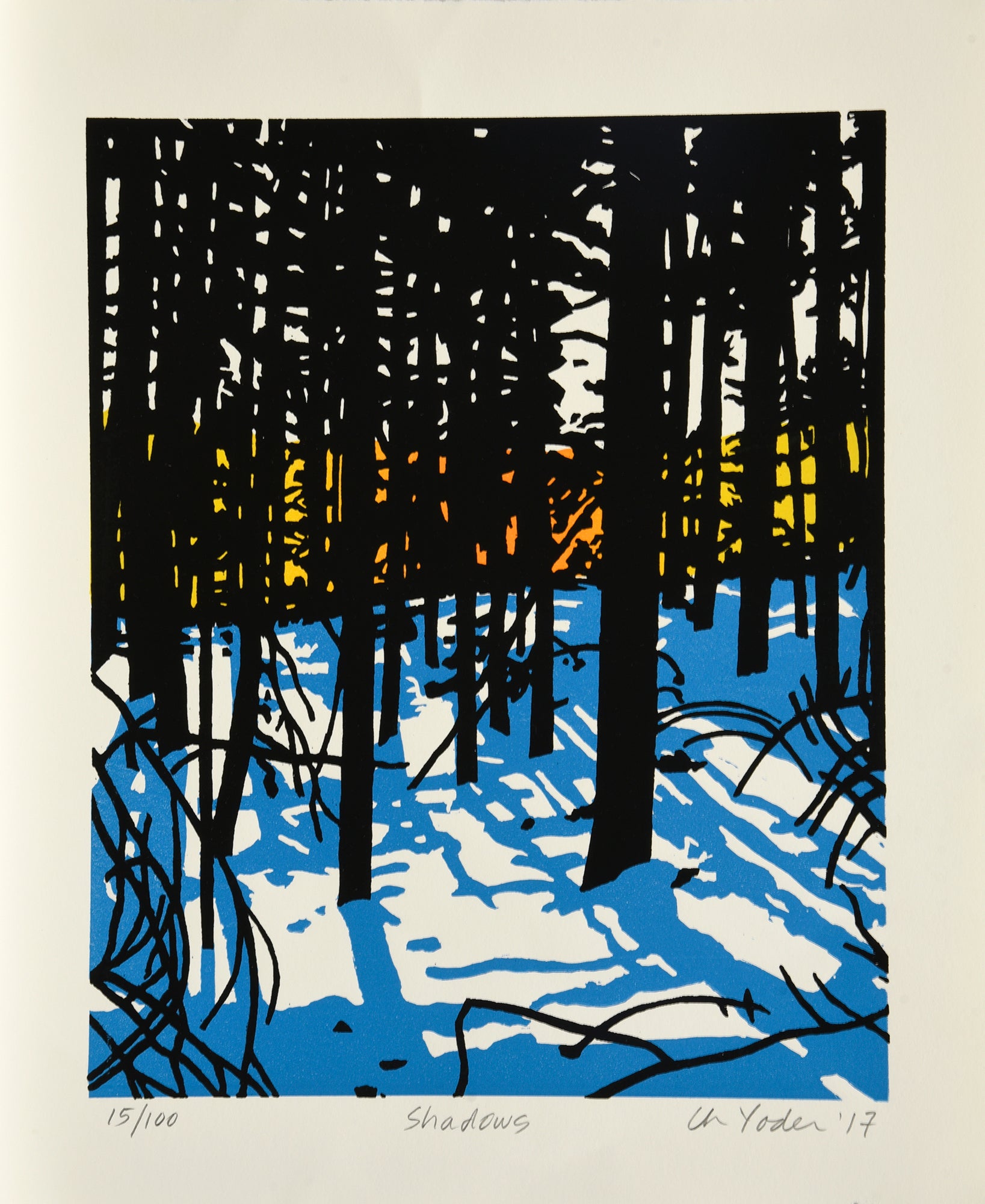 Shadows, 2017