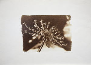 Ice Storm, 1997