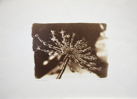 Ice Storm, 1997