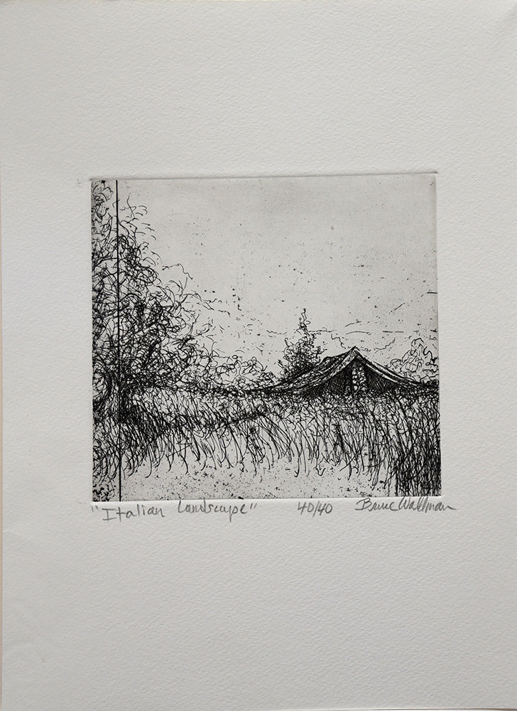 Italian Landscape