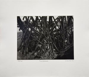 Puuhonua, 1999
