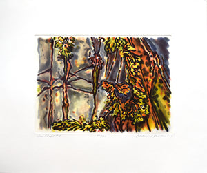 Sea Cleft #2, 2001